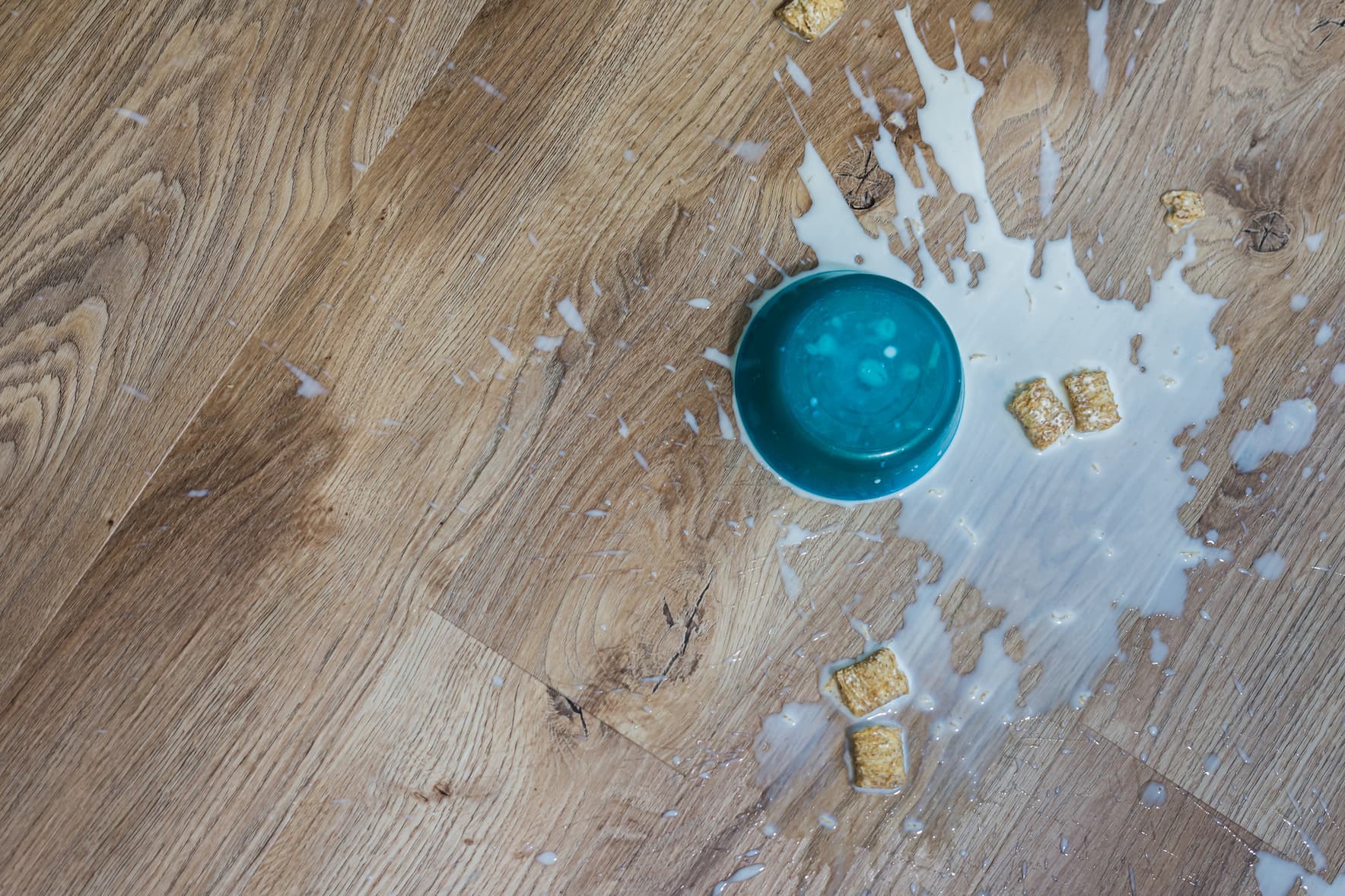 Milk spilled on wood-look LifeProtect waterproof flooring, demonstrating everyday spill resistance
